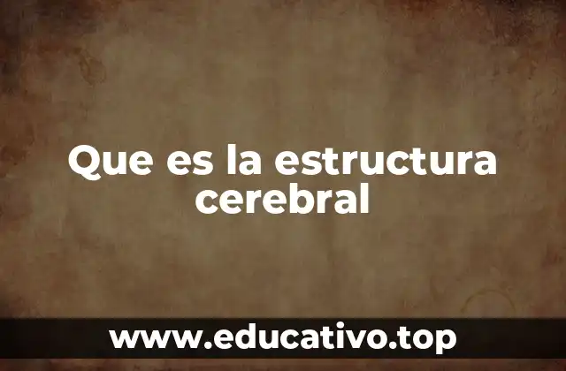 Que es la estructura cerebral