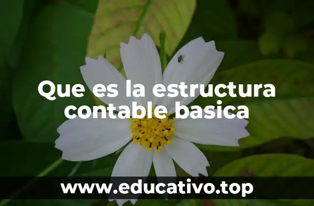 Que es la estructura contable basica