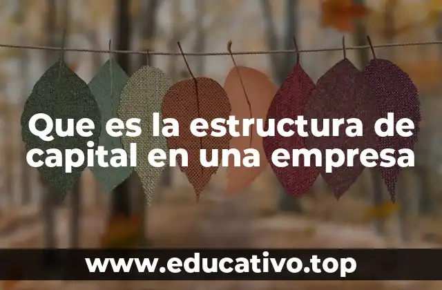 Que es la estructura de capital en una empresa