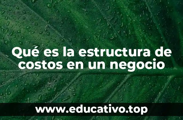 Qué es la estructura de costos en un negocio