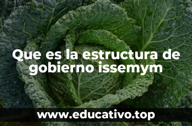 Que es la estructura de gobierno issemym