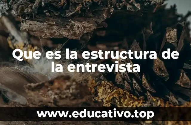 Que es la estructura de la entrevista