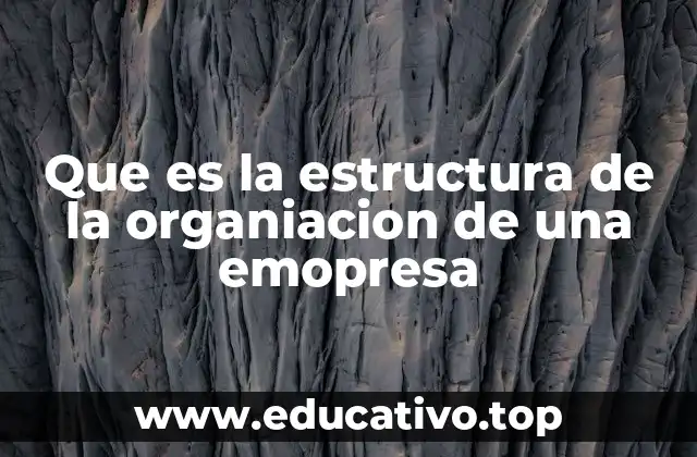 Que es la estructura de la organiacion de una emopresa