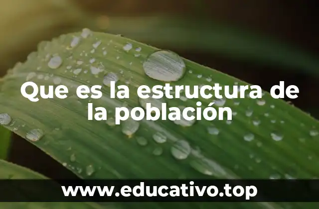 Que es la estructura de la población