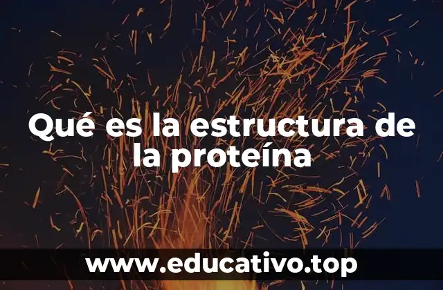 Qué es la estructura de la proteína