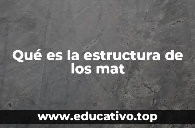 Qué es la estructura de los mat