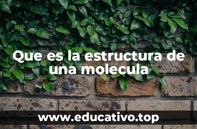 Que es la estructura de una molecula