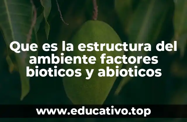 Que es la estructura del ambiente factores bioticos y abioticos