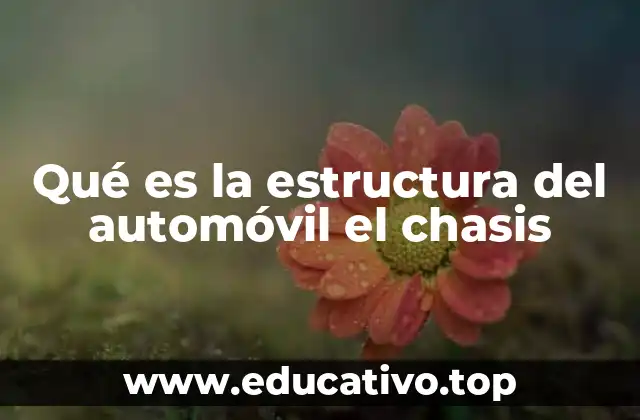 Qué es la estructura del automóvil el chasis