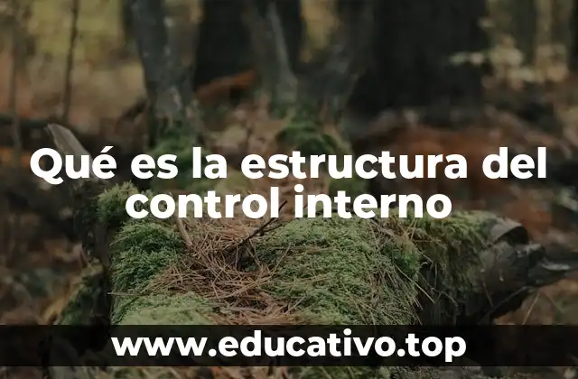 Qué es la estructura del control interno
