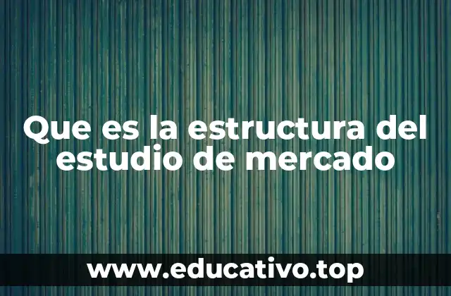 Que es la estructura del estudio de mercado