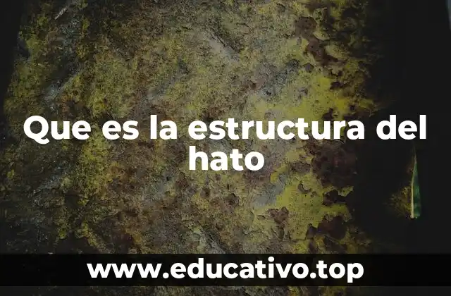 Que es la estructura del hato