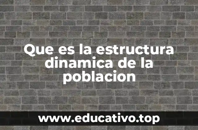Que es la estructura dinamica de la poblacion