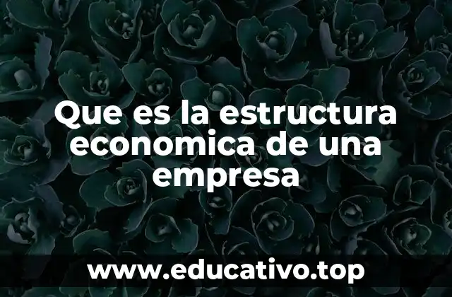 Que es la estructura economica de una empresa