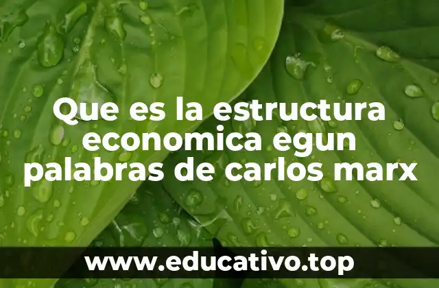 Que es la estructura economica egun palabras de carlos marx