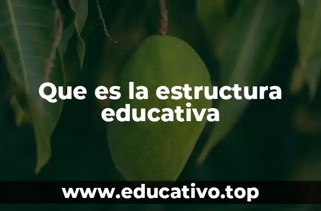 Que es la estructura educativa