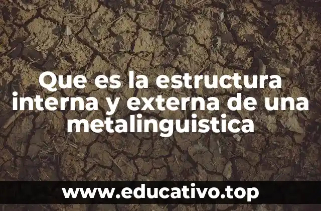 Que es la estructura interna y externa de una metalinguistica