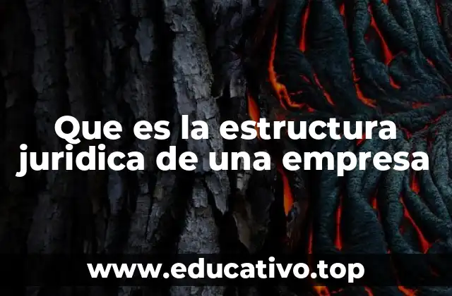 Que es la estructura juridica de una empresa