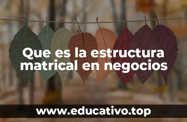 Que es la estructura matrical en negocios