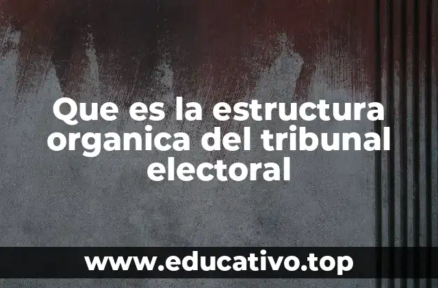 Que es la estructura organica del tribunal electoral