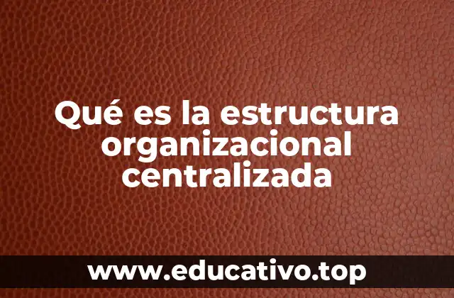 Qué es la estructura organizacional centralizada