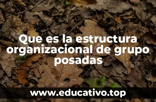 Que es la estructura organizacional de grupo posadas