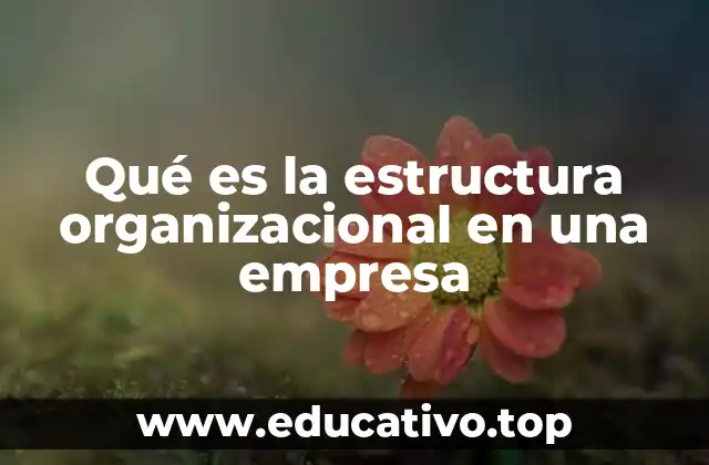 Qué es la estructura organizacional en una empresa