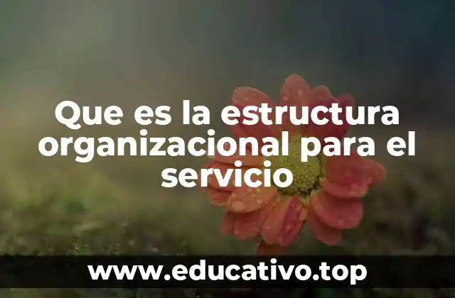 Que es la estructura organizacional para el servicio