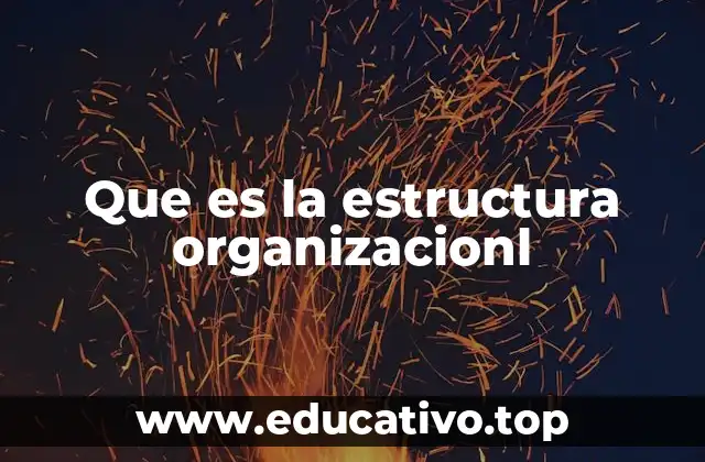 Que es la estructura organizacionl