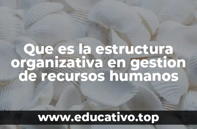 Que es la estructura organizativa en gestion de recursos humanos