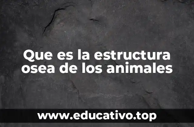 Que es la estructura osea de los animales