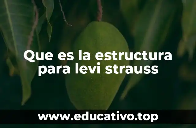 Que es la estructura para levi strauss