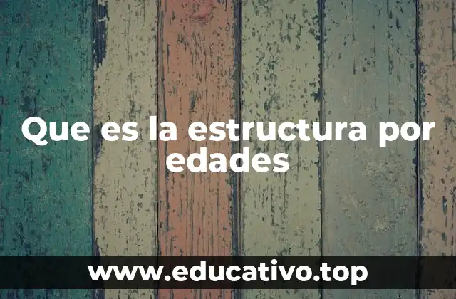 Que es la estructura por edades