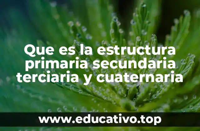 Que es la estructura primaria secundaria terciaria y cuaternaria
