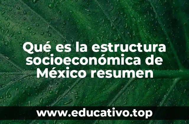 Qué es la estructura socioeconómica de México resumen