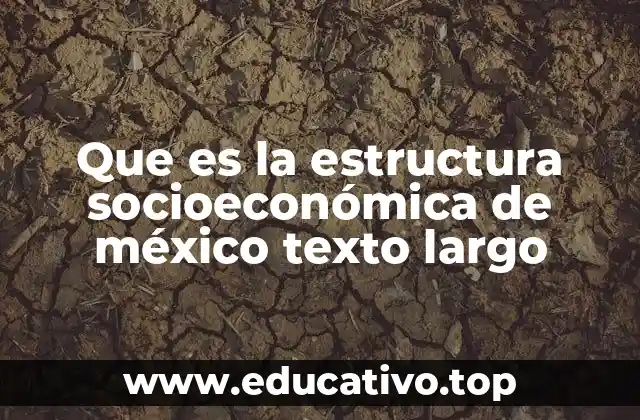 Que es la estructura socioeconómica de méxico texto largo