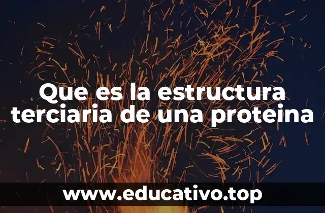 Que es la estructura terciaria de una proteina