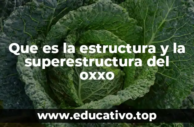 Que es la estructura y la superestructura del oxxo