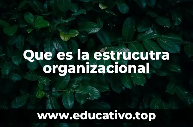 Que es la estrucutra organizacional