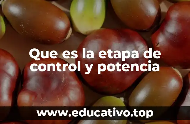 Que es la etapa de control y potencia