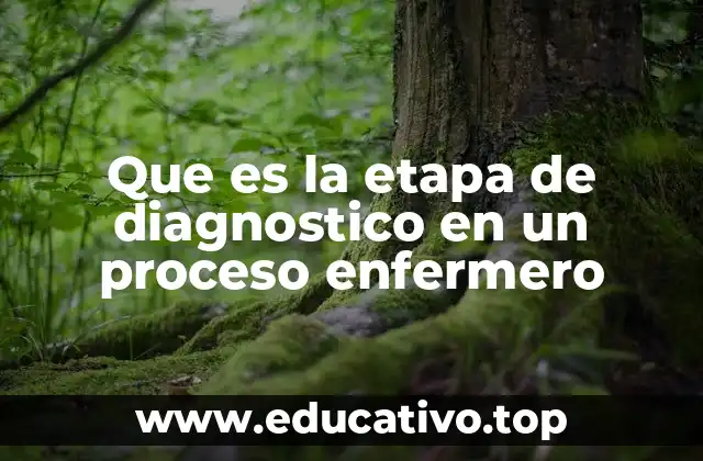 Que es la etapa de diagnostico en un proceso enfermero