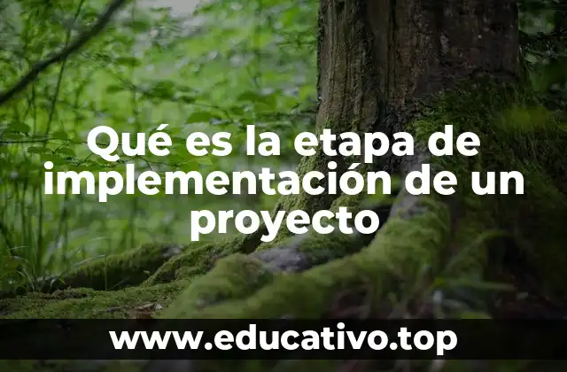 Qué es la etapa de implementación de un proyecto
