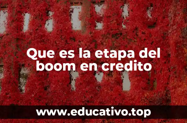 Que es la etapa del boom en credito