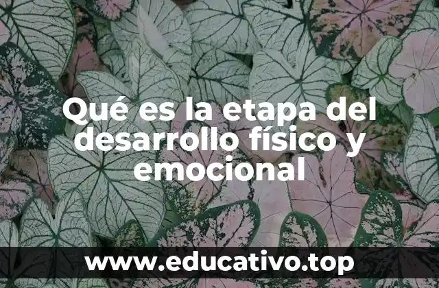Qué es la etapa del desarrollo físico y emocional