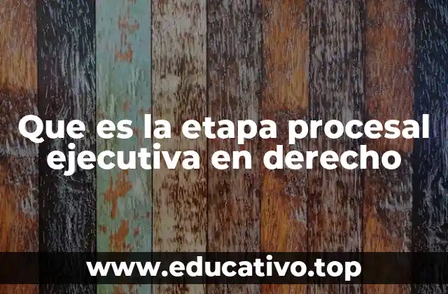 Que es la etapa procesal ejecutiva en derecho