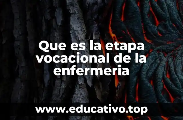 Que es la etapa vocacional de la enfermeria