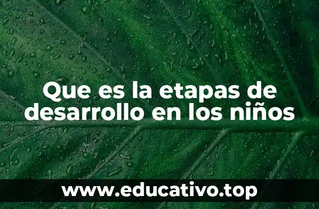 Que es la etapas de desarrollo en los niños