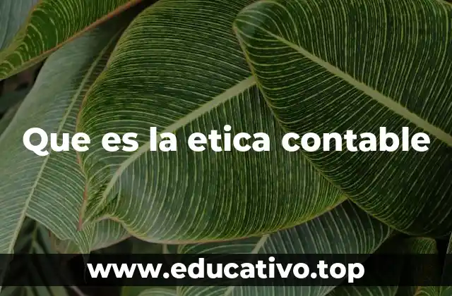 Que es la etica contable
