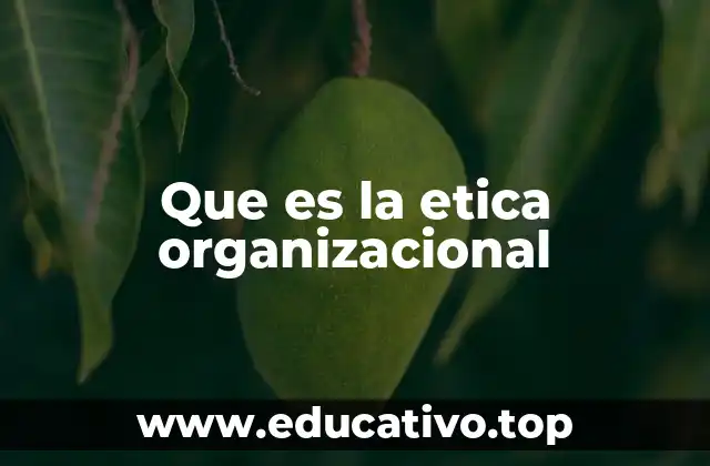 Que es la etica organizacional