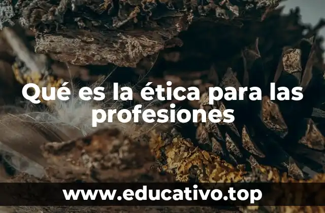 Qué es la ética para las profesiones